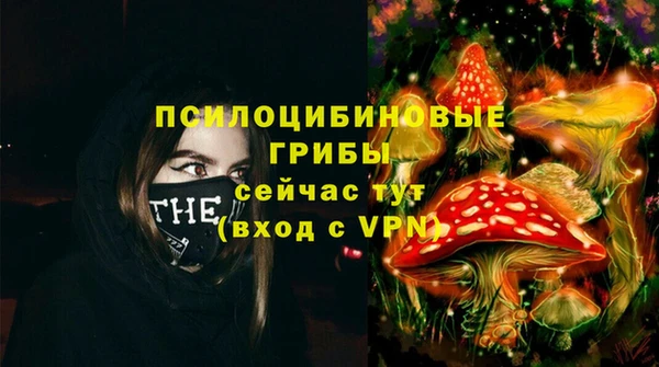 СК Покачи